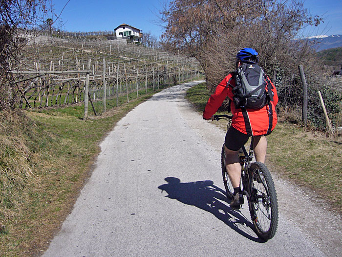 Radweg Richtung Eppan