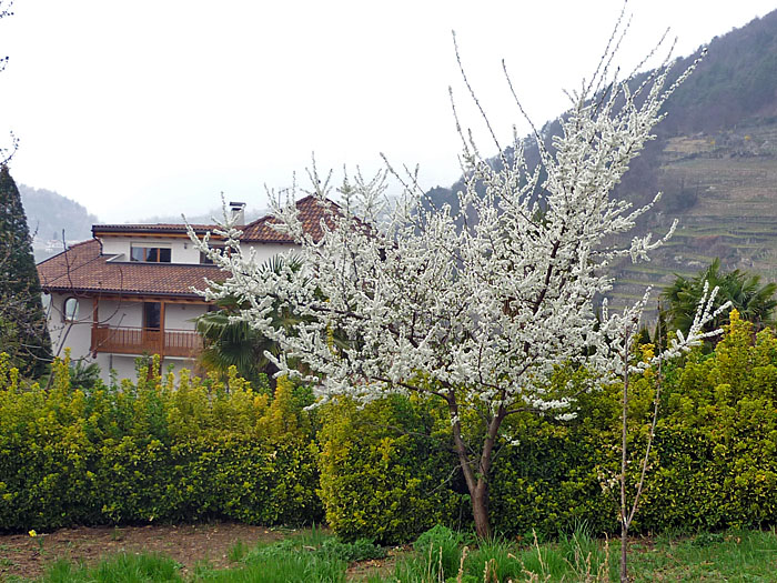 Jetzt fehlt natürlich ein blauer Himmel