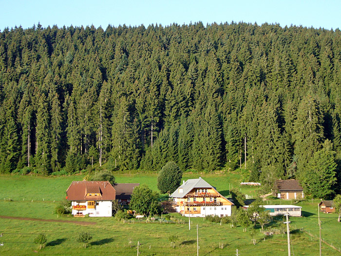 ... typischen Schwarzwaldhäuser