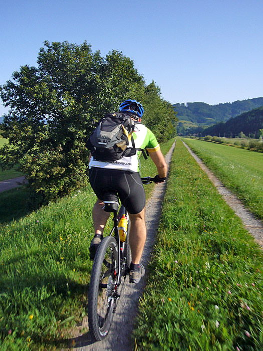 Auf dem Kinzigdamm