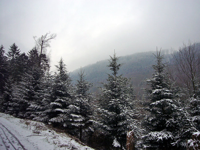 Hochnebel über dem Schwarzwald