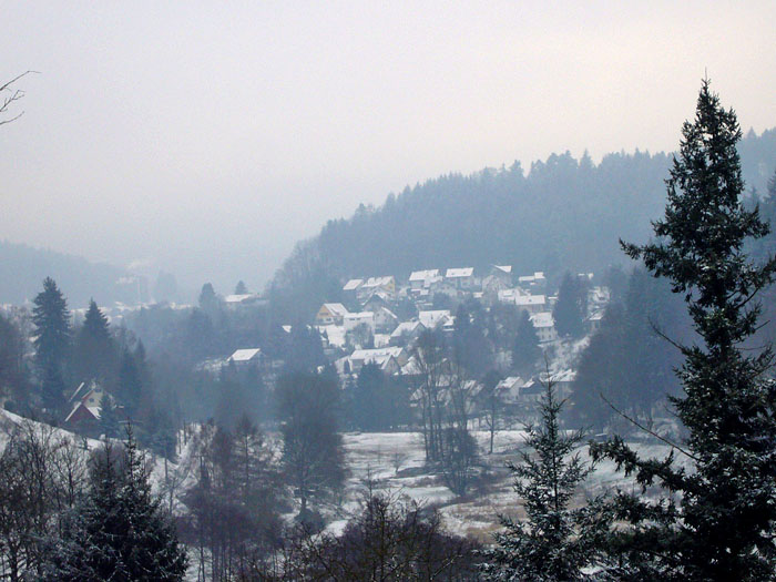 Bad Herrenalb in Sicht