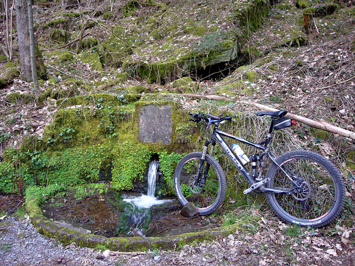 Wasser für das Tragtier ;-)