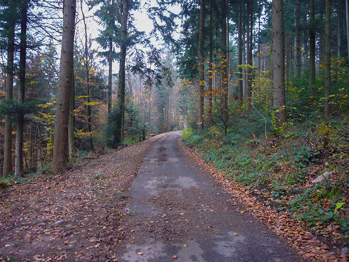 Auf dem Rückweg ist auch nicht mehr los