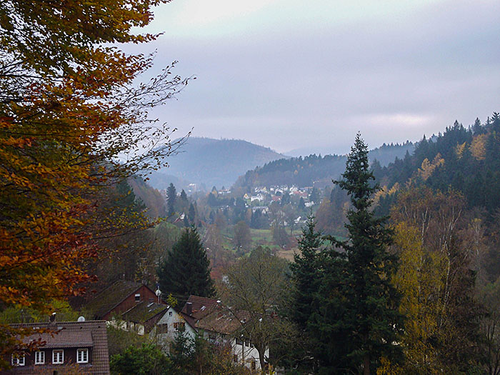 Bad Herrenalb in Sicht