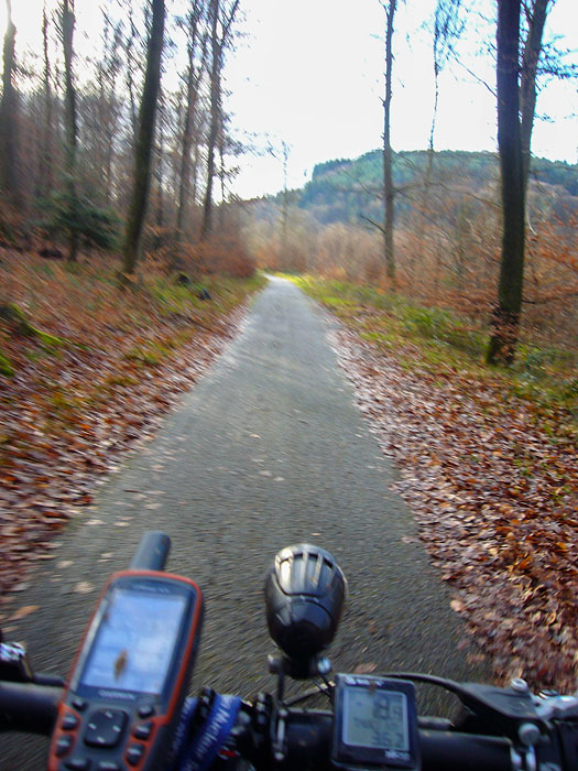 Auf dem Albtalradweg