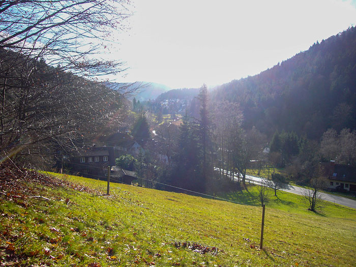 Bad Herrenalb in Sicht