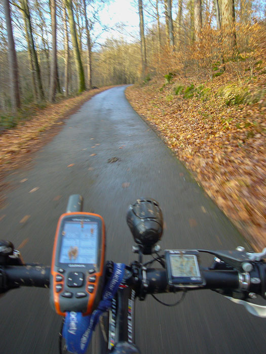 Fast wieder zuhause