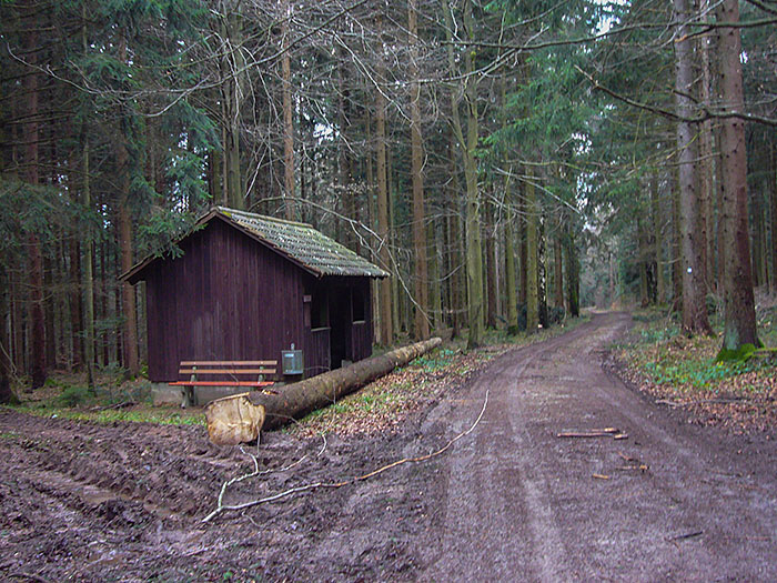 Und noch eine Hütte im Wald