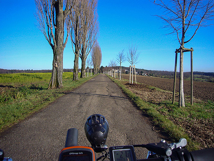 Auf der Allee zum Thomashof