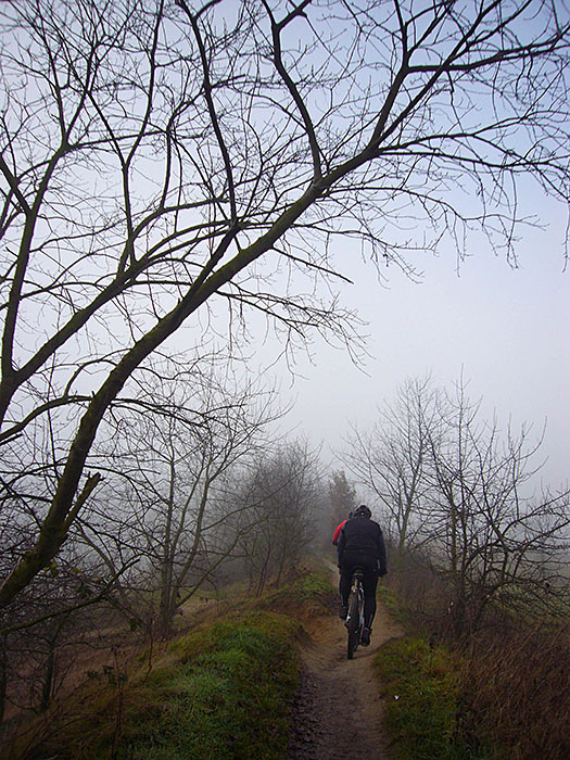 Hinter Ettlingen dominiert der Nebel :-(