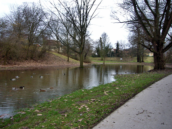 Da gehört normal kein Wasser hin ...