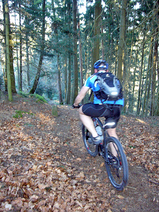 Runter geht es auf einem Singletrail
