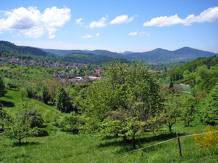 Blick auf Loffenau