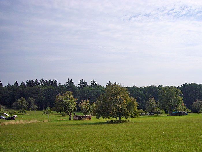 So langsam scheint es herbstlicher zu werden ...