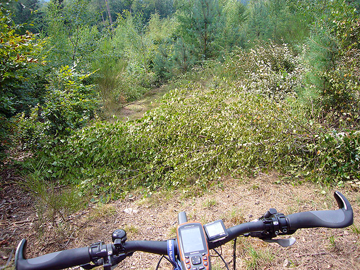 Und diese Wege ...