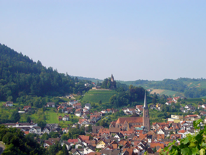 ... können wir auf Kappelrodeck hinab blicken