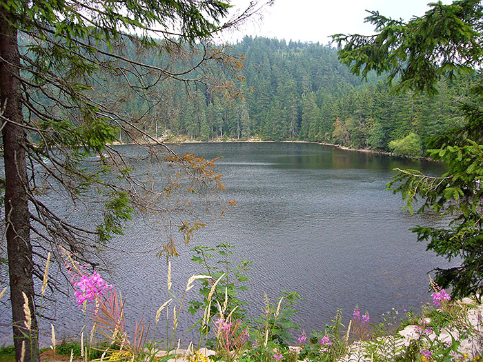 Am Fuß der Hornisgrinde liegt der Mummelsee