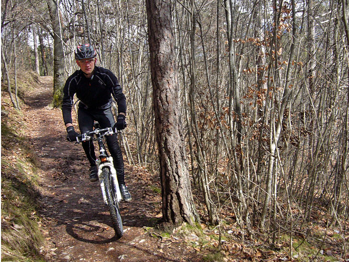 Björn auf dem Singletrail