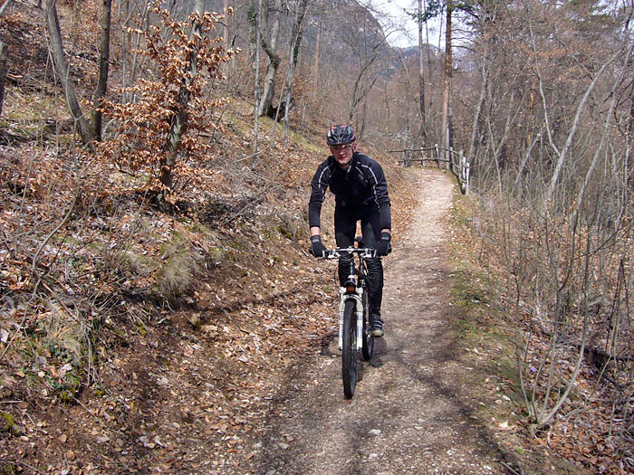 Schöner Weg nach Altenburg