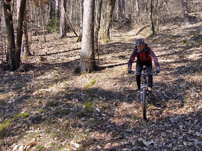 Björn, der Waldschrat ;-)