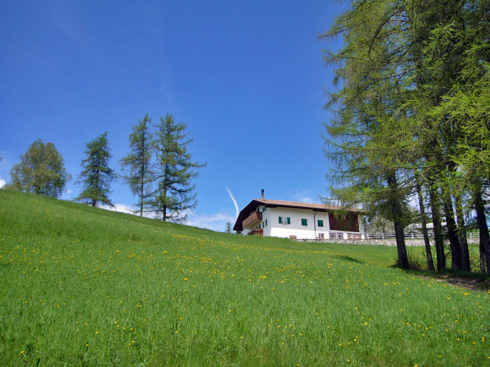 Schöne Landschaft