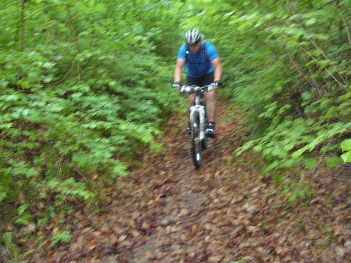... Waldi ist unscharf, weil es im Wald so dunkel ist ;-)