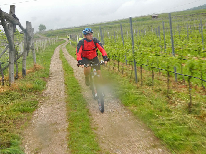... fahren wir nach Kaltern zurück