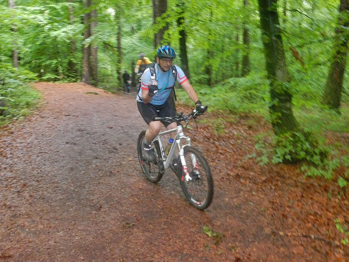 ... im Wald ist es noch richtig nass