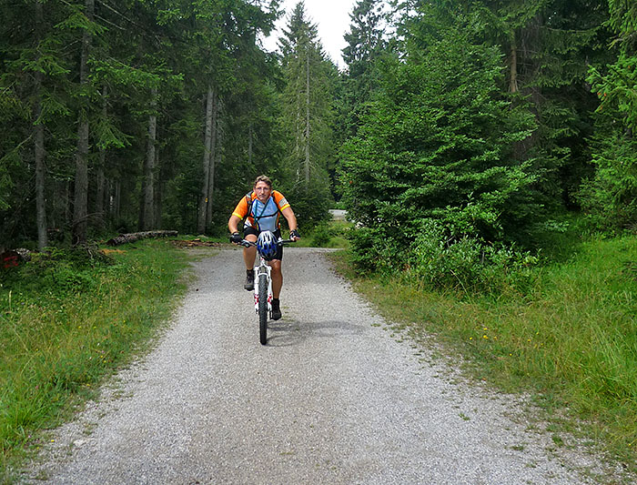 Durch den Wald Richtung Seefeld