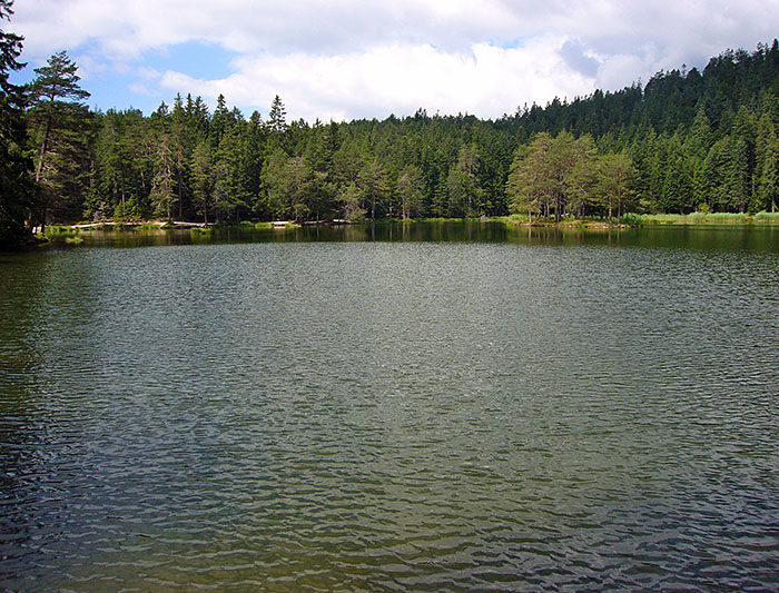 Der Möserer See