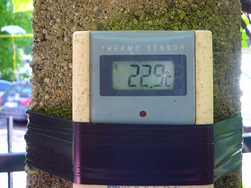 Schon früh am Morgen ist es warm