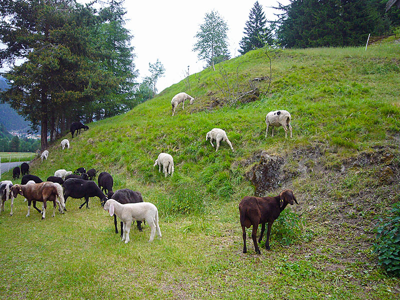 ... um mal nach den Mädels im Wollpullover zu schauen ;-)