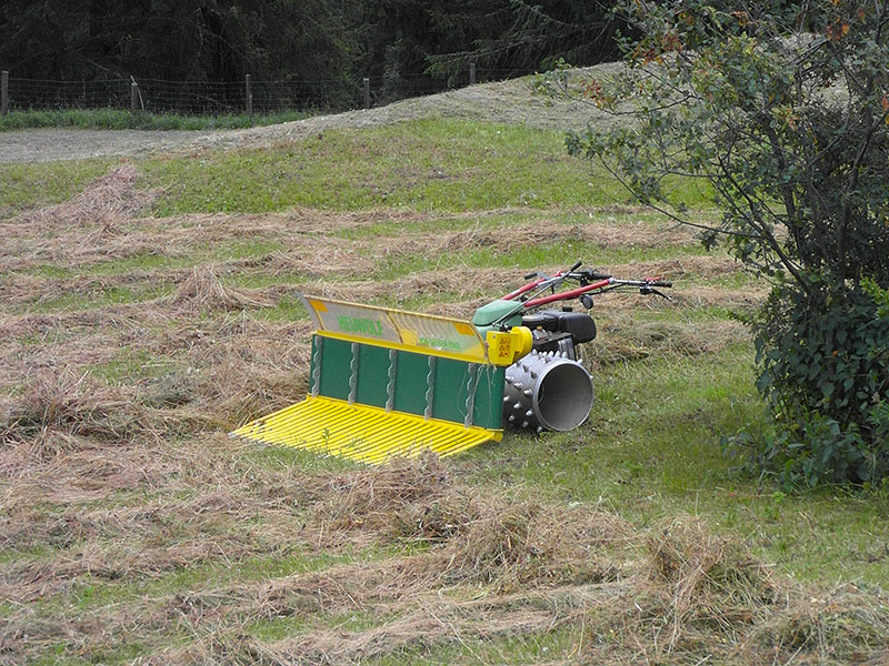 ... hier hilft nur noch schweres Mähgerät