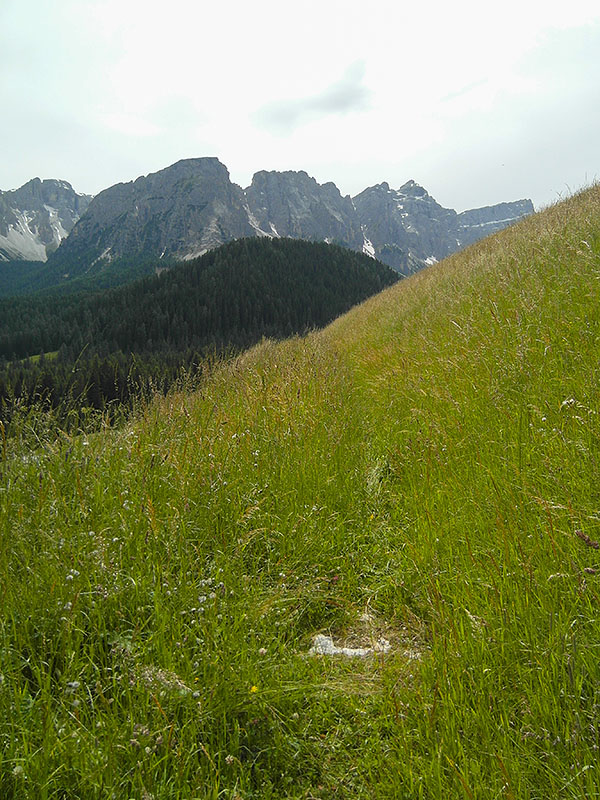 Das ist wirklich ein Weg ...
