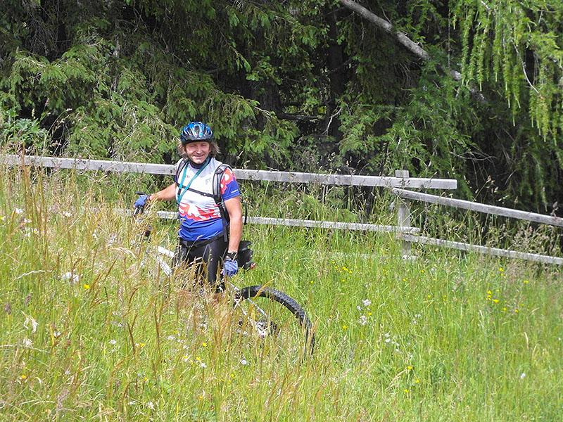 ... der durch's hohe Gras führt