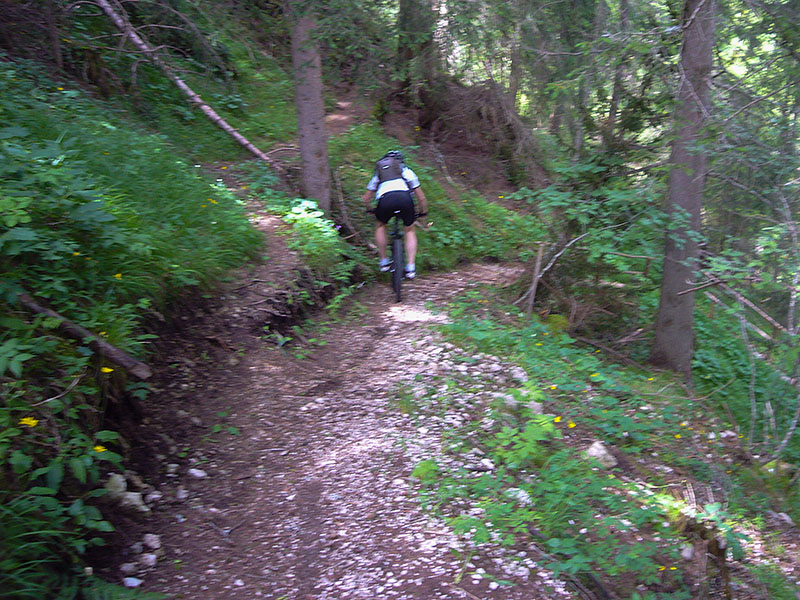 Dann werden die Gräser kürzer ...