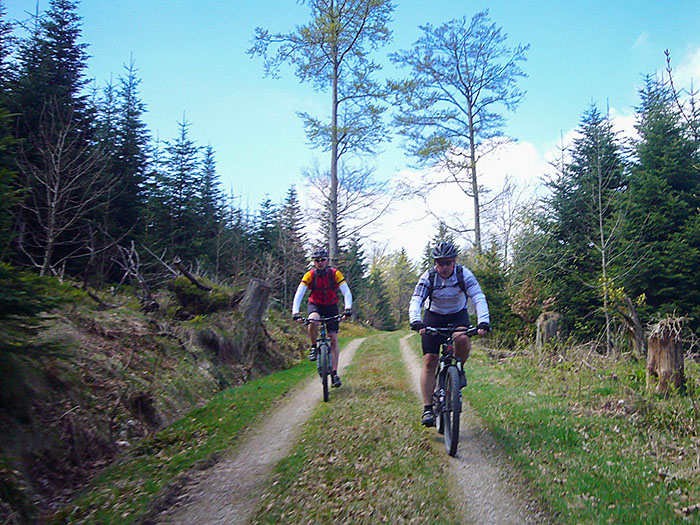 Waldwege sind besser als die Asphaltstraße