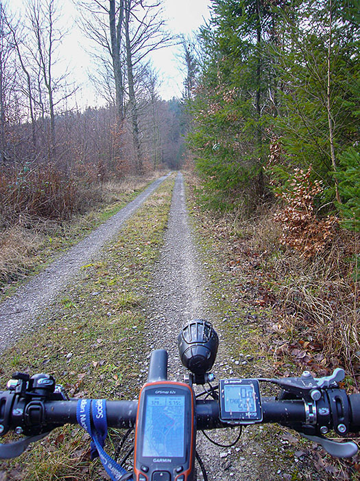 Waldautobahn