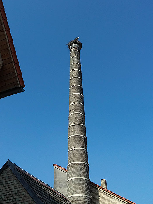 Gut dass wir keine Mädels dabei hatten ...