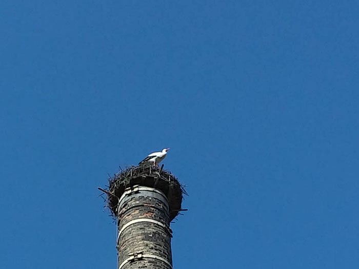 ... obwohl, der Storch wäre eine prima Ausrede gewesen ;-)