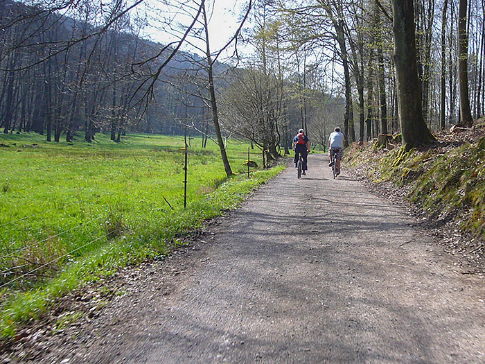 Kaum ist es etwas wärmer, ist auf dem Graf-Rhena-Weg wieder was los