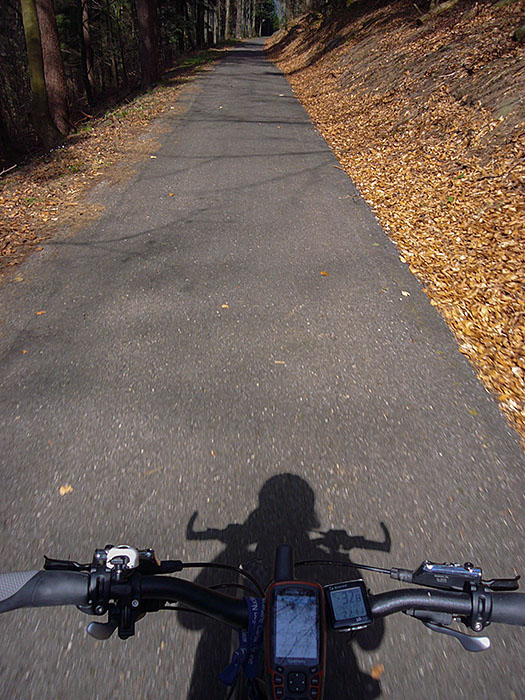 Rückfahrt auf dem Albtal-Radweg