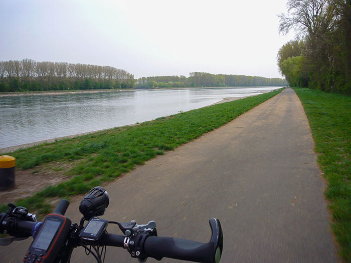 Auf dem Rheinradweg gen Süden