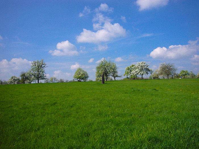 ... ist das schöne Wetter eine Wohltat für's Gemüt