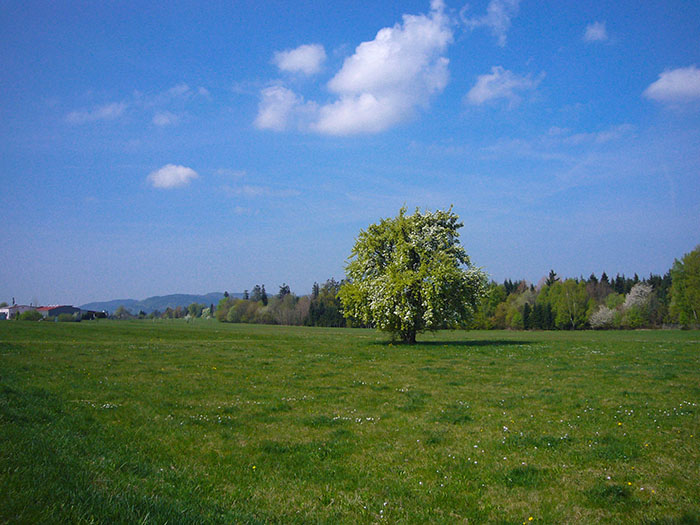 Schönes Wetter ...