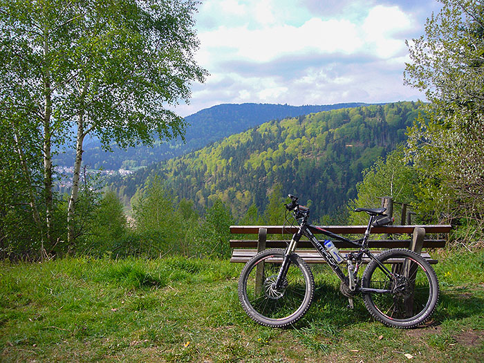 Hoch über dem Albtal