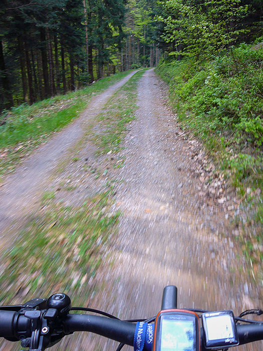 Aufstieg nach Dobel