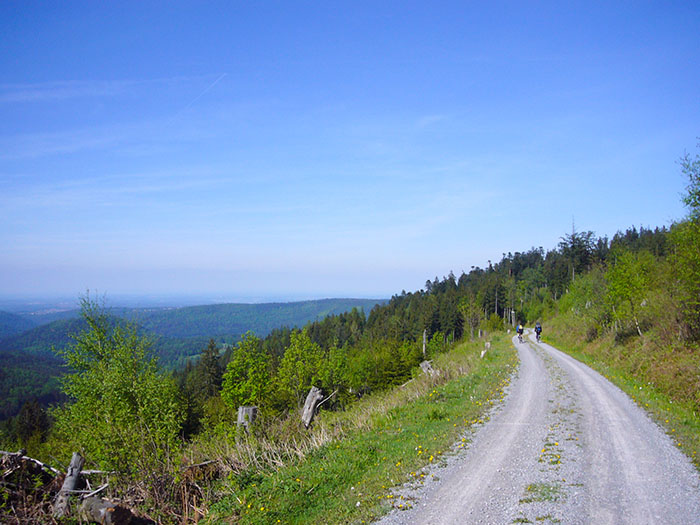 Weg zur Hahnenfalzhütte