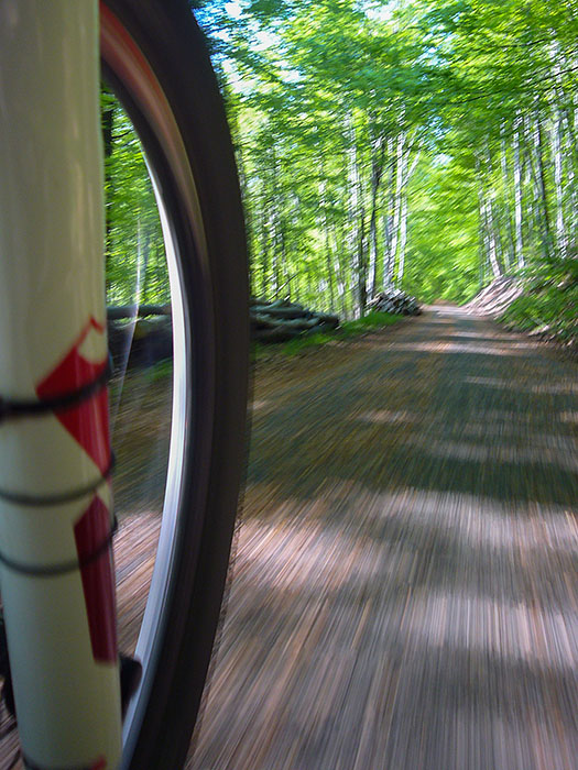 Das letzte Stück rolle ich auf dem Albtal-Radweg Richtung Heimat